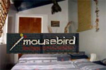 Mousebird Backpackers