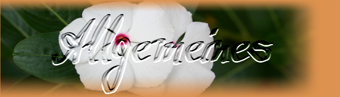 allgemein