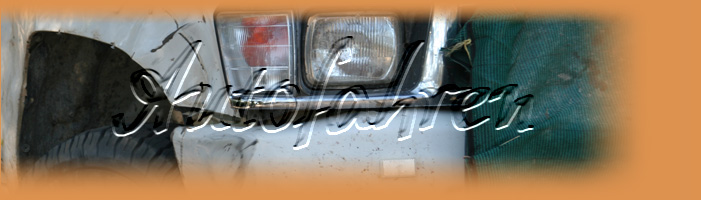 autofahren