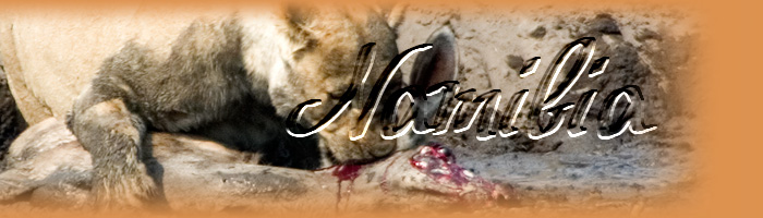 essen_nam