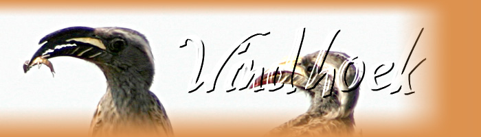 essen_wdh