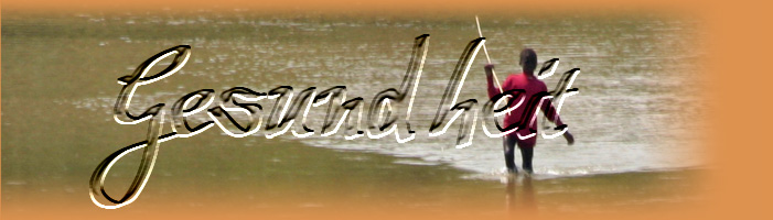 gesundheit