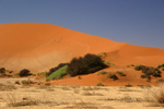 Sossusvlei