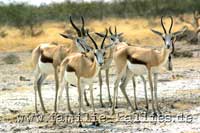 Bild 8 2004 Nummer